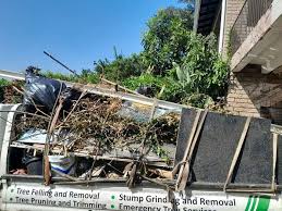Best Residential Junk Removal  in Hermann, MO